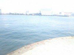 胴付きでカワハギ狙い！活性高く大漁です！