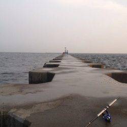 武庫川河口　アオイソメ使用のウキ釣りでチヌ・キビレ・サンバソウなど