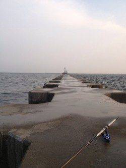 武庫川河口　アオイソメ使用のウキ釣りでチヌ・キビレ・サンバソウなど