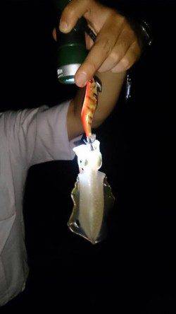 江井ヶ島　エギングでアオリイカ新子もリリースサイズ