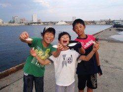 小アジに豆アジ♪泉大津RT。6日夕方