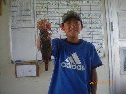 姫路市立遊漁センター釣果、色んな魚が楽しめます♪