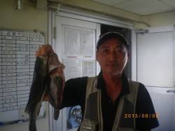 魚種多様に釣れています！姫路市立遊漁センタ…