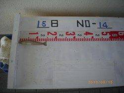 15日の姫路市立遊漁センター釣果情報