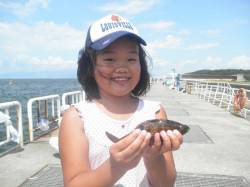 朝方のアジが良く釣れています　他高級魚のア…