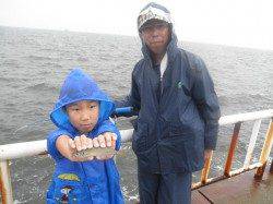 南港海釣り公園　サビキでアジ園内500尾の釣果