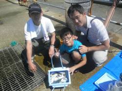 南港海釣り公園、サビキ好調・連日良型アコウ…