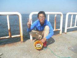 アジ1000匹にガシラ・アコウも釣れています！南港海釣り公園