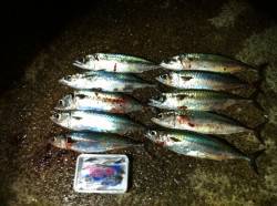 大サバ！アジュール舞子！！ 