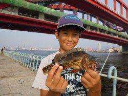 北公園　ガシラも好調に