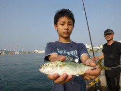 兵突　サビキ＆ちょい投げです