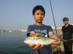 兵突　サビキ＆ちょい投げです 