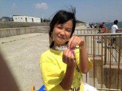 【暑い!けどサビキはパラパラ釣れる】南芦屋浜