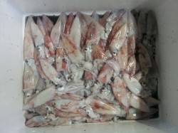 8月17日の夕方から19日深夜まで大蔵海岸…