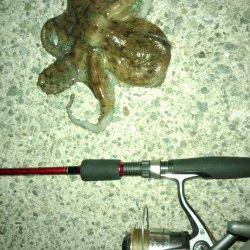 仕事帰りにオクトパッシング、助松埠頭