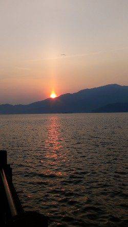 敦賀新港でアジを狙うも…カマス、カワハギ、ボラ