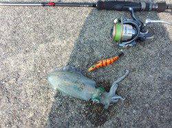 湯浅から有田周辺へ下見がてらにランガン、コロッケ＆トンカツサイズ♪