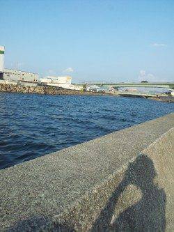 佐野川で夕方シーバスの釣果