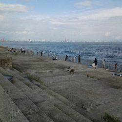 南芦屋浜 雨上がりのサビキ釣りでアジ&サッパの釣果