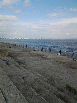 南芦屋浜 雨上がりのサビキ釣りでアジ&サッパの釣果