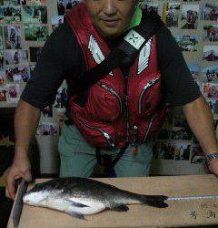 岸和田沖一文字でのチヌ釣果