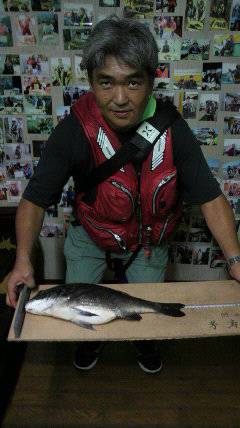 岸和田沖一文字でのチヌ釣果