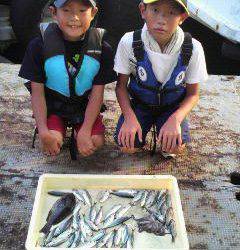 沖一文字北サビキ釣果〜アジ・グレ・タコ〜