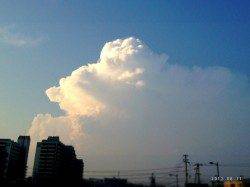 垂水漁港　ジグヘッドに嬉しい外道のタコ