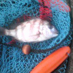 吹上浜　夜釣りで投げ釣りの大物狙い釣行☆