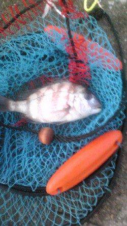 吹上浜　夜釣りで投げ釣りの大物狙い釣行☆