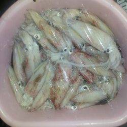 8月17日の夕方から19日深夜まで大蔵海岸での釣行