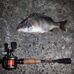 【仕事終わりに】舞洲でチヌゲーム！