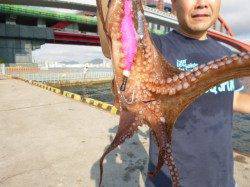 北公園タコアジ　小野浜のゴミは