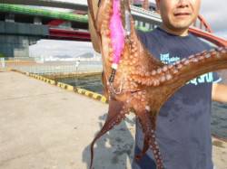 北公園タコアジ　小野浜のゴミは