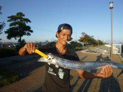 空港で90cmのタチウオも!