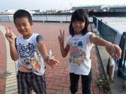 ☆小アジ爆裂☆泉大津　朝ＲＴ　２８日