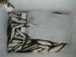 みんな最高の笑顔です♪泉大津RT・3日朝