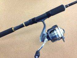 今朝(29日)の神戸港 ルアーでツバス！