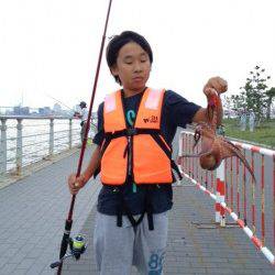 大阪南港　タコジグでタコ1パイ　カラーは赤がオススメ