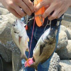 人生初のフカセ釣りへ