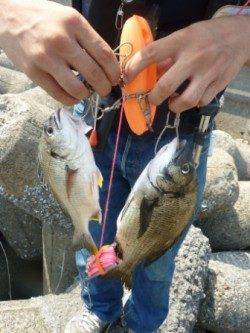 人生初のフカセ釣りへ