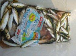 朝の兵突ツバスやキス!