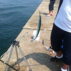 爽快感グッド!青物とサヨリの夏!加太RT