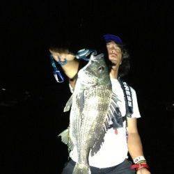 新川口　アジングで嬉しい外道のチヌ＆キス　豆アジも多数