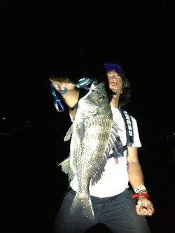 新川口　アジングで嬉しい外道のチヌ＆キス　豆アジも多数