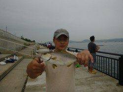 空港、ほったらかしでシオ！