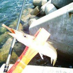 貝塚人工島でカマシング～♪