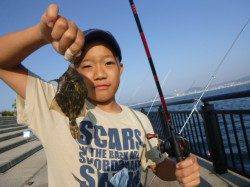 神戸空港　タチウオ情報もあります