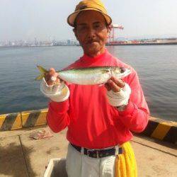 水軒鉄鋼団地もサビキ好釣！大鯖も！15日ＲＴ