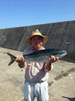 タルイチでまたまたメジロ!!